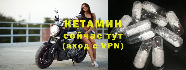 шишки Беломорск