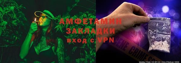 шишки Беломорск