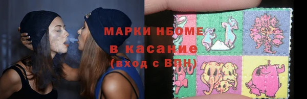 шишки Беломорск