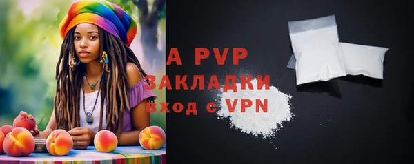 шишки Беломорск