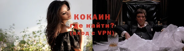 шишки Беломорск